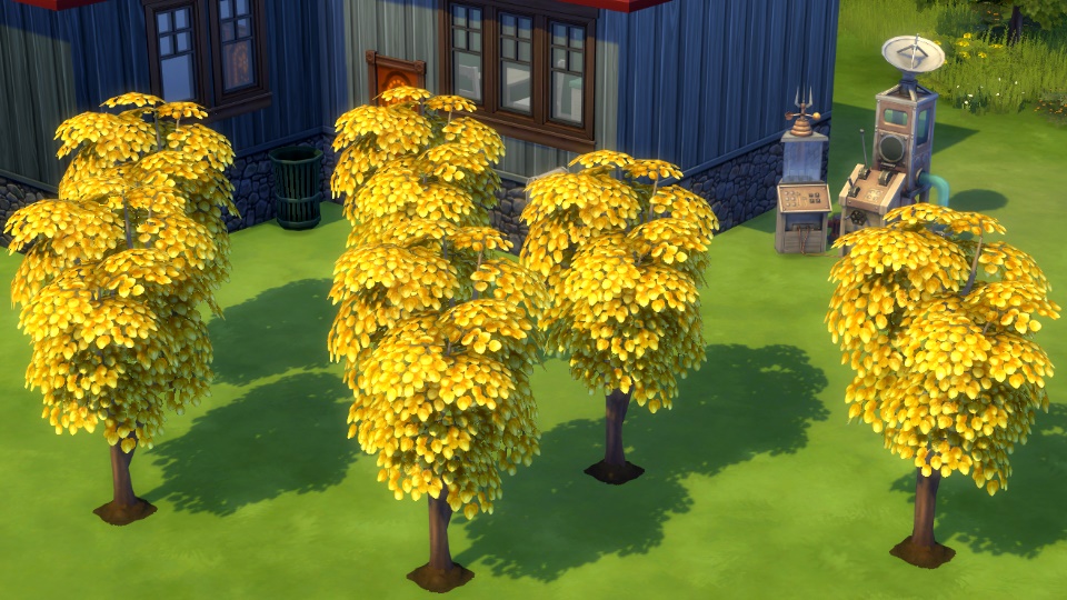 How to Get the Money Tree in Sims 4 (Make Tons of Money!)